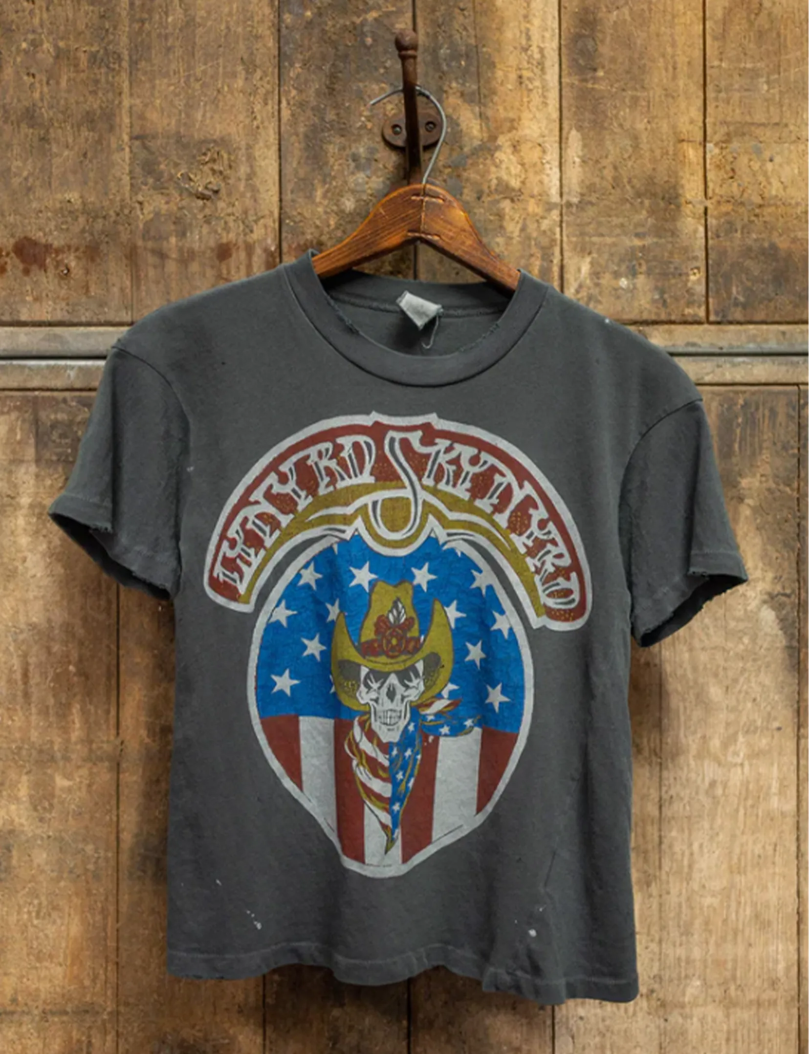 Comfortable Stretch Lynyrd Skynyrd Crop Tee, Dusk