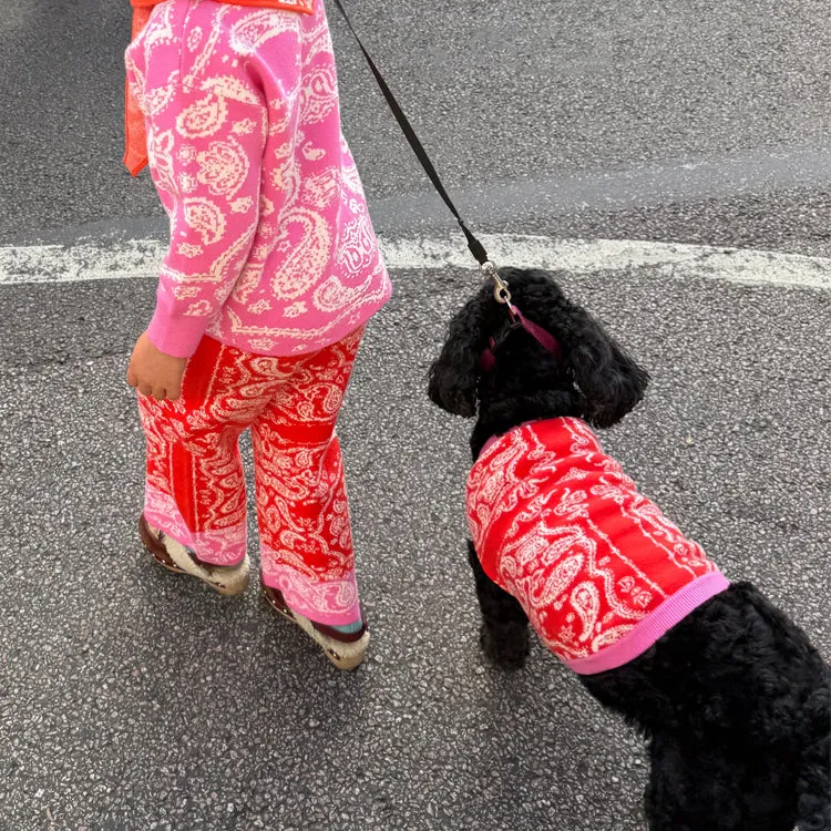 Natural Odor Control Travel Essential Red and Pink Bandana Dog Jumper