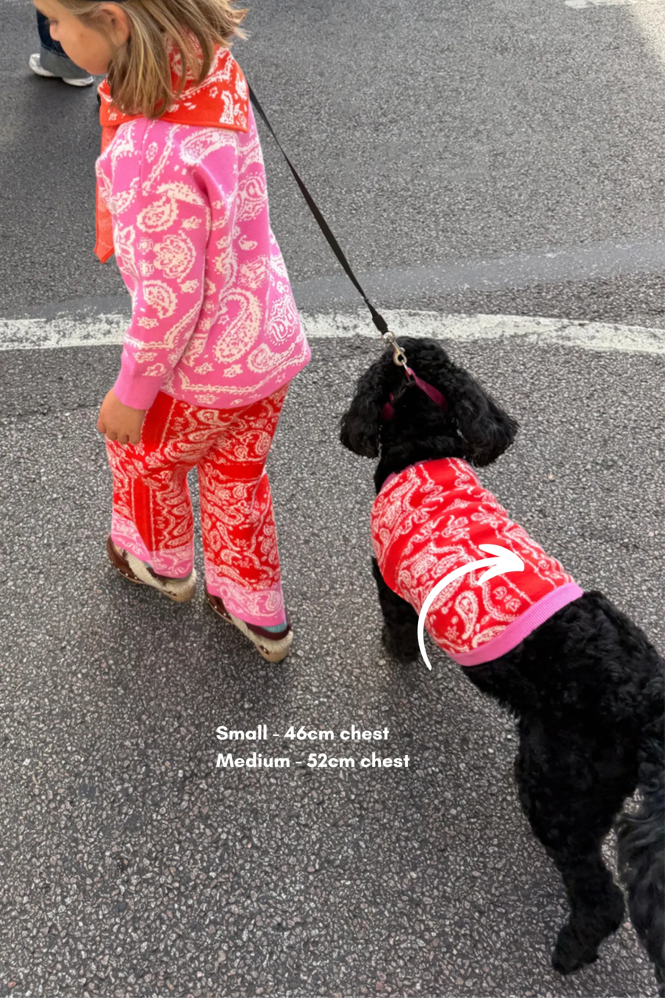 DoubleLayered Collar Red and Pink Bandana Dog Jumper