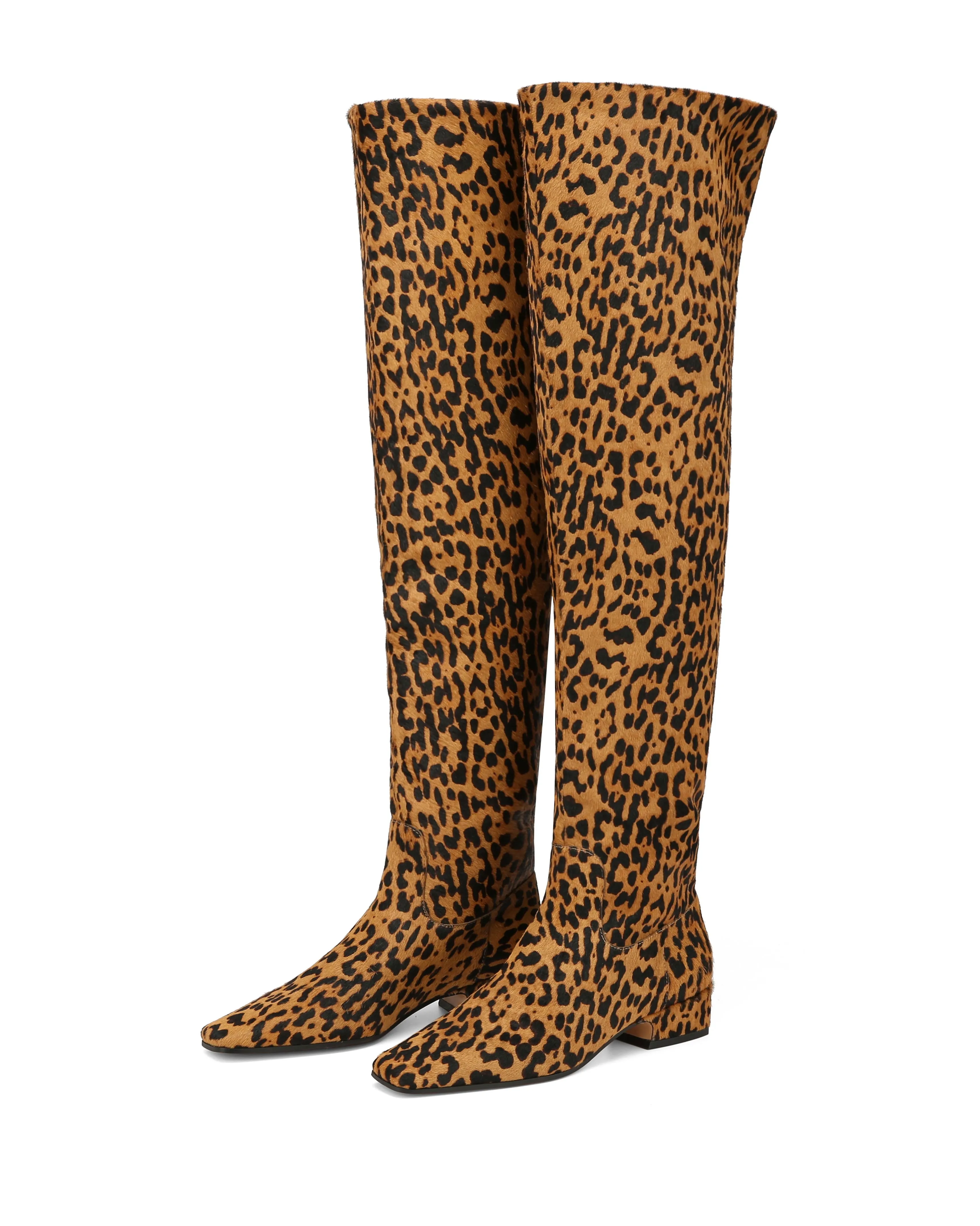 Bold Red Fly Leopard