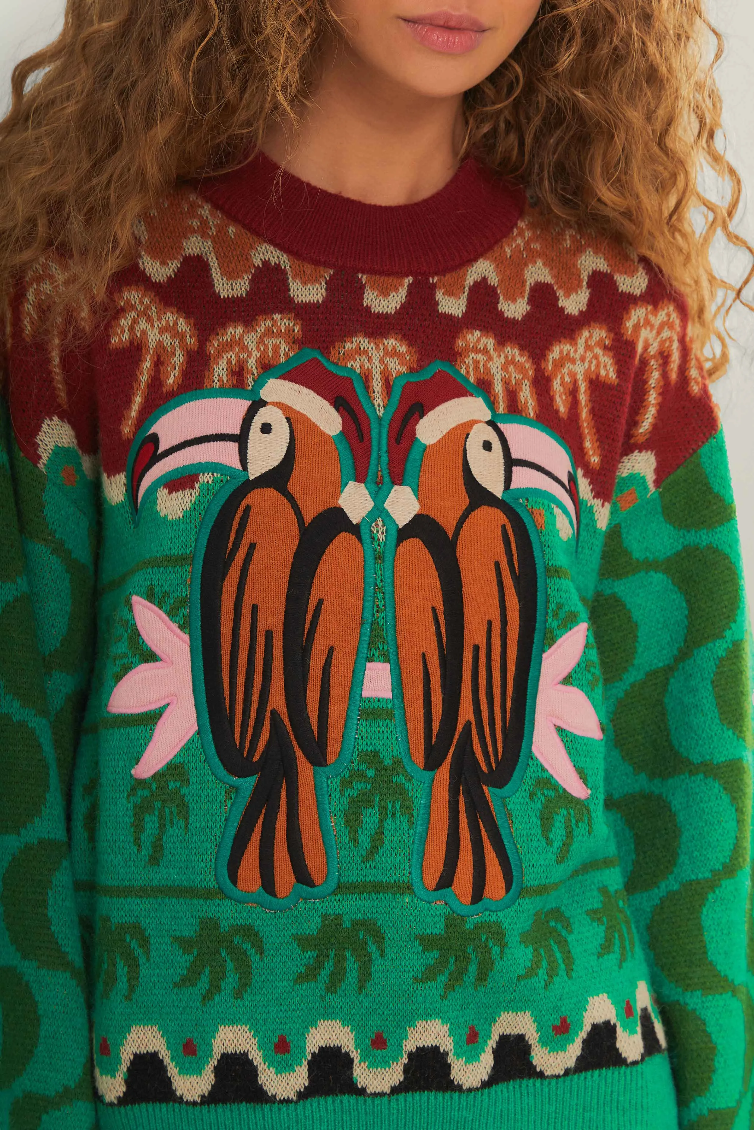 Walk In Park Outdoor Warmth Green Christmas Toucans Knit Sweater