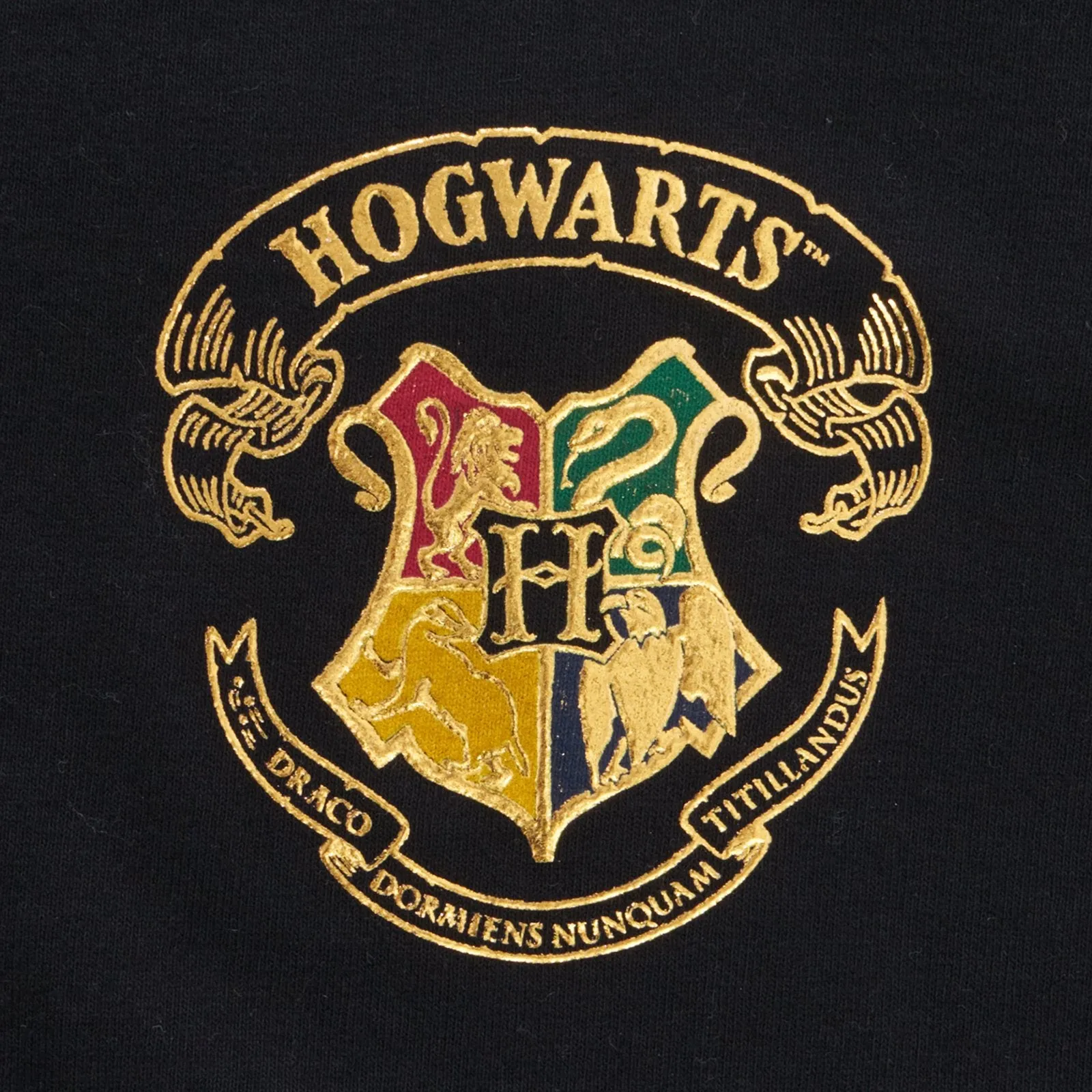 Everyday Essential Hogwarts Spirit Jersey