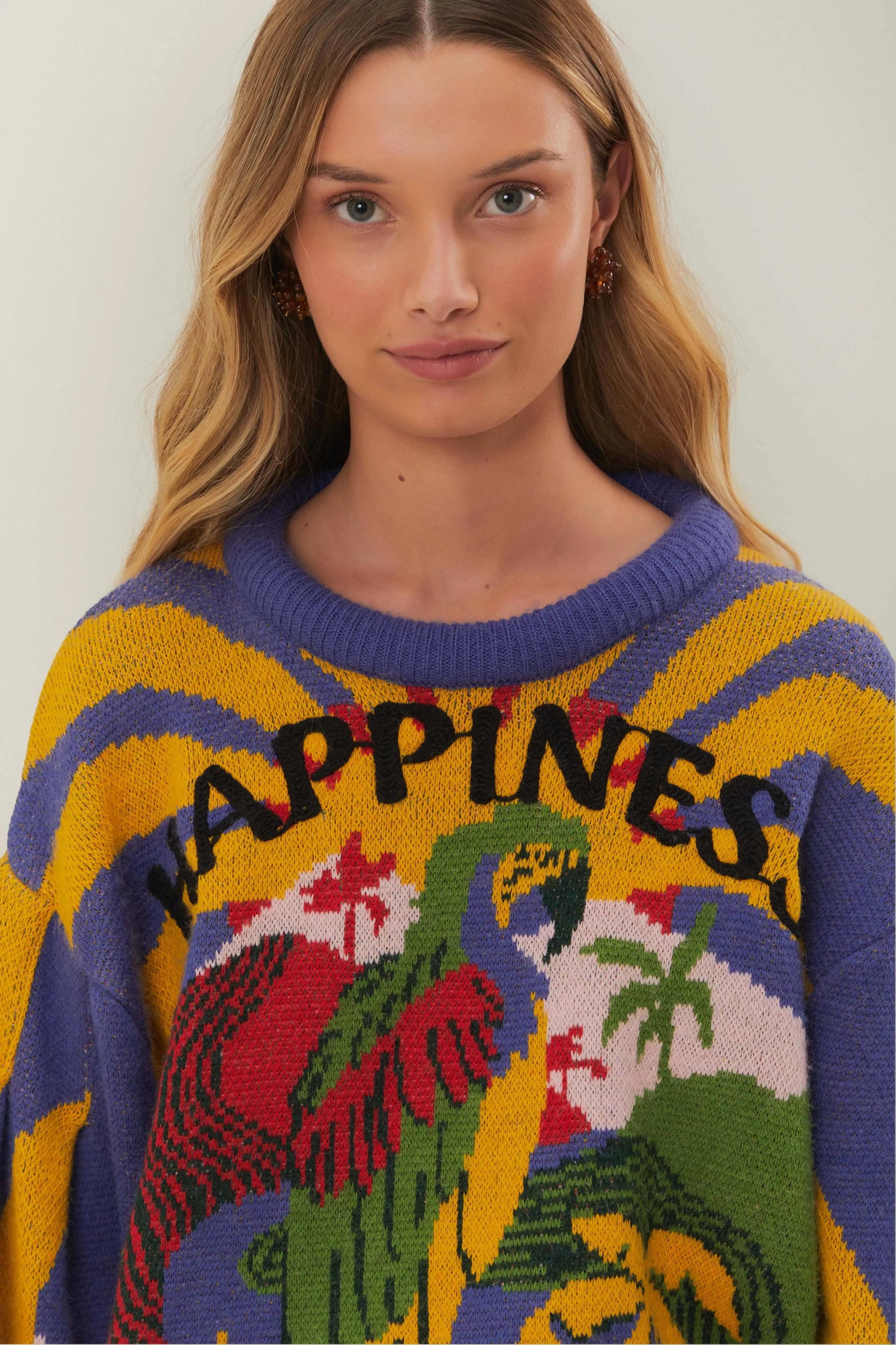 No Stress Happiness Sweater