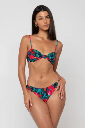 Spencer Bikini Top in Resort Rubber Free Elastic Bands Holiday Adventure